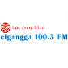 Elgangga FM