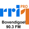 RRI PRO 1 Bovendigoel