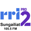 RRI PRO 2 Sungailiat